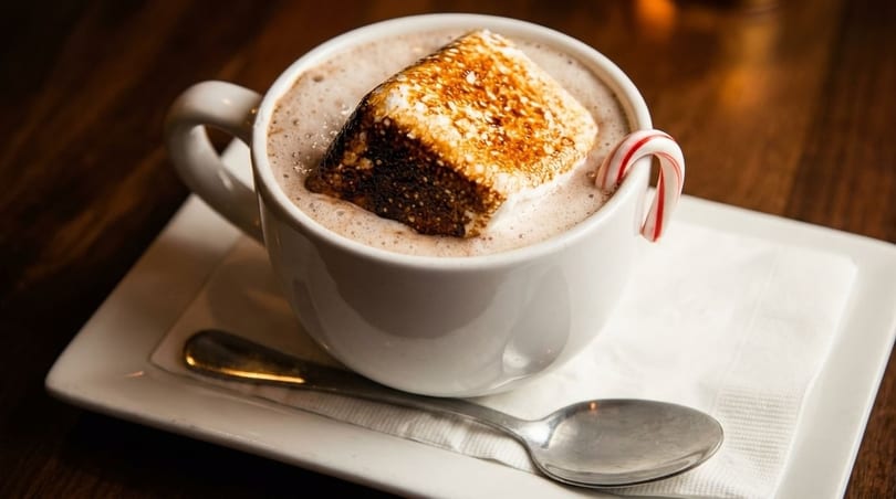 Hot chocolate with a toasted marshmallow and candy cane on a white plate with a spoon.